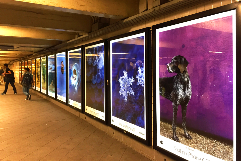 Gianpaolo-Casciano_Shot-on-iPhone-6S_3_M